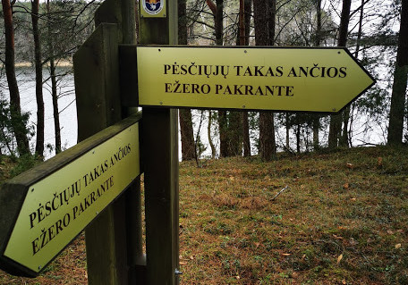 18_Pėsčiųjų takas Ančios ežero pakrante.jpg